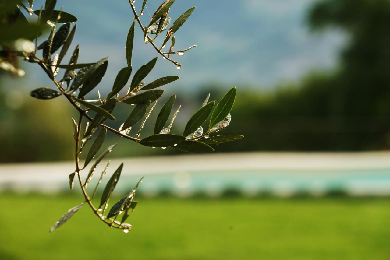 Agroturismo Borgo La Morra