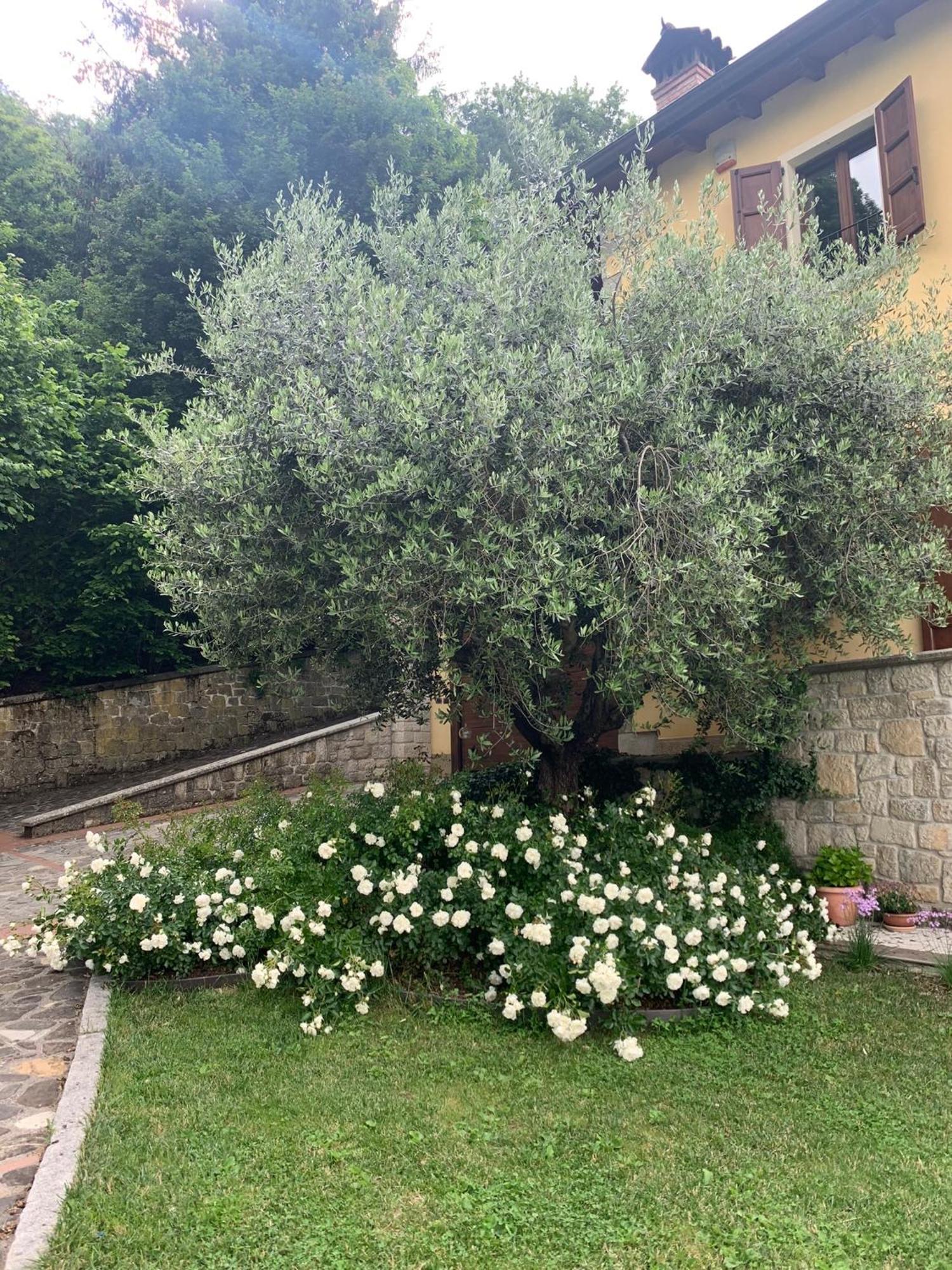 Agroturismo Borgo La Morra Pavullo nel Frignano
